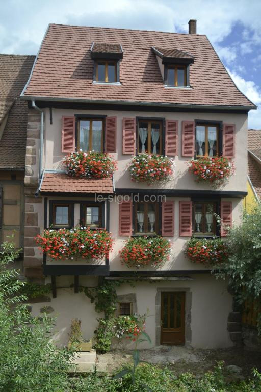 photo de Gîtes Du Stekala